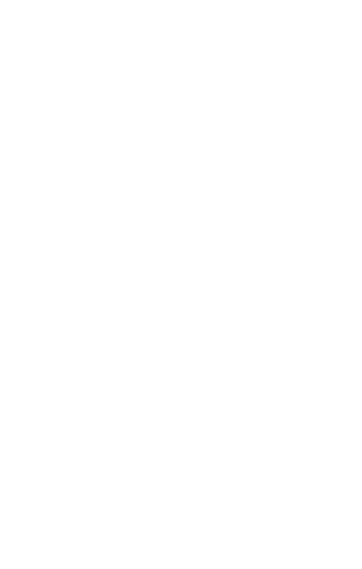Mobile Image